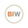 BrandingIron Worldwide Logo