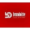 Brandoitte Technology Solutions Logo