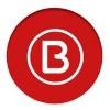 Brandtone Logo