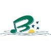 Branson, MO Logo