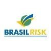 Brasil Risk Logo