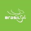 Brasil Sul Logo