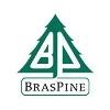 Braspine Madeiras Logo