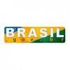 Brazilian Government Logo