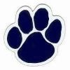 Brazos School for Inquiry & Creativity Logo