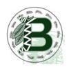 Brentwood Union Free School District Logo