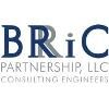 BRiC Partnership Logo