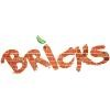 Bricks Logo