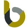 Bricz Logo