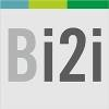 BRIDGEi2i Logo