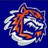Bridgeport Sound Tigers Logo