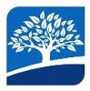 Bridgetree Logo