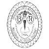 Bridgewater-Raynham Regional School District Logo