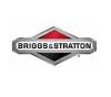Briggs & Stratton Logo