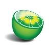 Brighthouse Luxury Green Home Cleaning Logo