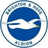 Brighton and Hove Albion FC Logo