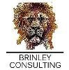 Brinley Consulting Logo