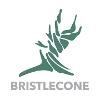 Bristlecone Construction Logo