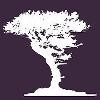 Bristlecone Holdings Logo
