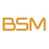 British School of Motoring Logo