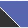 Broadlook Technologies Logo