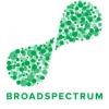 Broadspectrum Logo