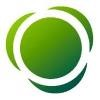 Brodynt Logo