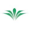 Bronx Community Health Network Logo