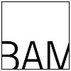 Brooklyn Academy of Music Logo