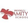 Brooklyn Amity School Logo