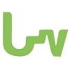BrowseWire Consulting Logo