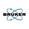 Bruker Logo