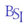 BSI Management Search & Consulting Logo