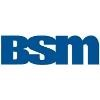 BSM Engenharia Logo