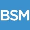 BSM Group Logo