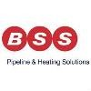 BSS Industrial Logo