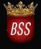 BSS Logo