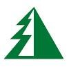 BSW Timber Logo