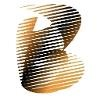 Buchta Executive Network Logo
