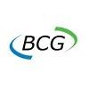 Buffalo Computer Graphics Logo