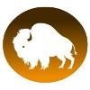 Buffalo Studios Logo