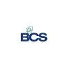 Bulk Chemical Services Logo