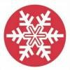 Burris Logistics Logo