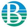 Burrows Paper Logo