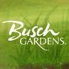 Busch Gardens Logo