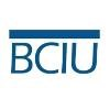 Business Council for International Understanding Logo