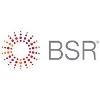 Business for Social Responsibility Logo
