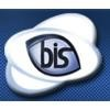 Business Information Systems Logo