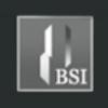 Business Solutions International (BSI) Logo