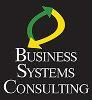 Business Systems Consulting Logo